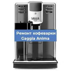 Чистка кофемашины Gaggia Anima от накипи в Новосибирске